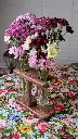 PXL_20250209_025620716.PORTRAIT.webp