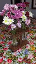 PXL_20250209_025554205.PORTRAIT.webp